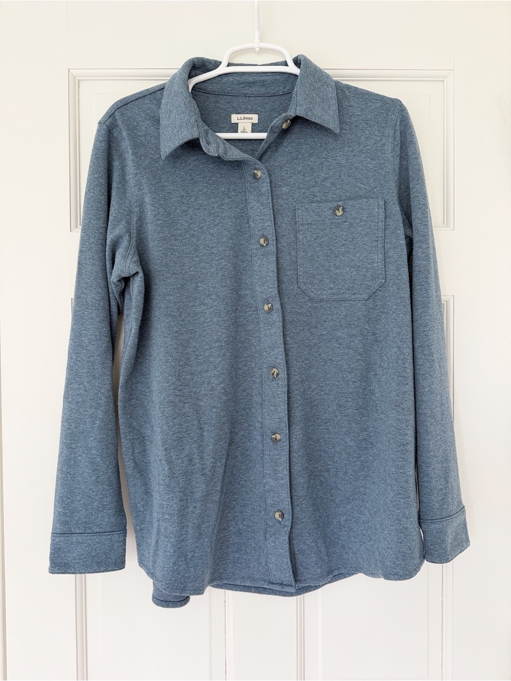 L.L.BEAN longsleeve shirt size L blue soft button down cozy